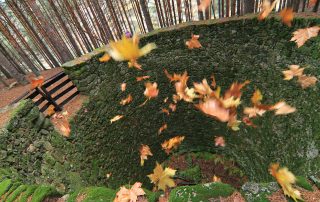 03_la_garganta_nevero