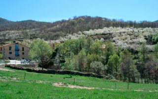 09_Casas-del-Monte_via_verde