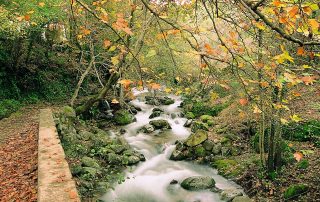 20-21_3 hervas rio pedregoso