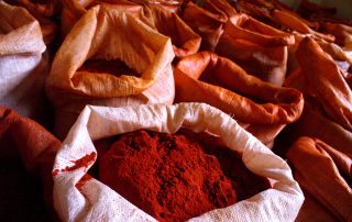 Aldeanueva-pimenton-Manuel-Calvo-Rodero