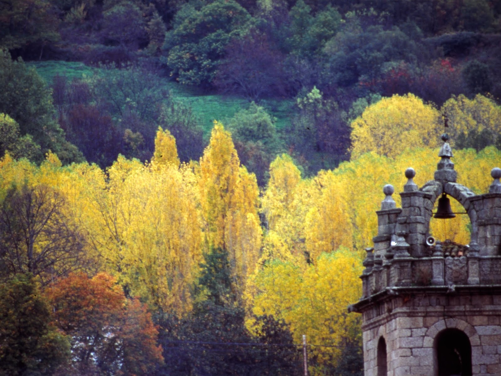 bell tower+autumn