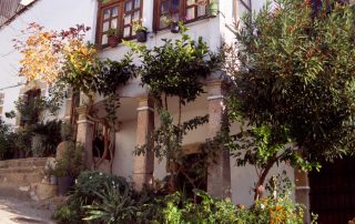 segura_de_toro_slider_03