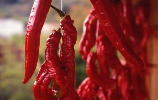 02_pimientos_aldeanueva