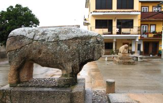 Segura-de-Toro-El-Toro-1