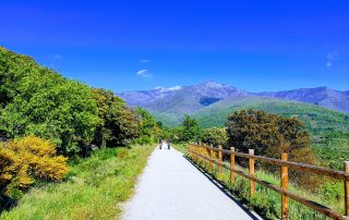 20210416_174713-EFFECTS(4)