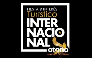 FITIN en negro reducido