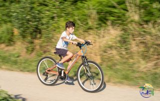 WhatsApp Image 2020-07-06 at 09.47.26 (6)