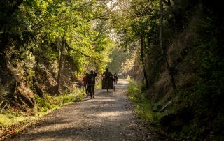 WhatsApp Image 2020-10-02 at 10.16.48