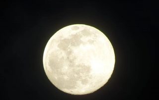 actividades_ad_astra_3