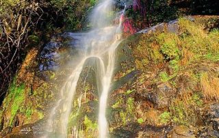 agua_y_termal_la_chorrera_1-1