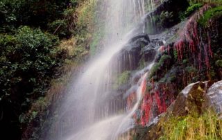 agua_y_termal_la_chorrera_3