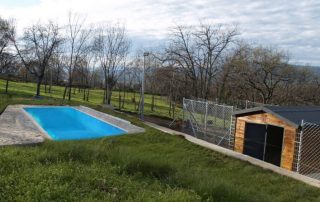 centro_canino_educazen_1-1