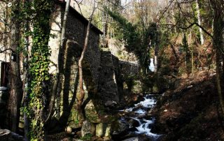 centro_de_interpretacion_la_molineria_1-1