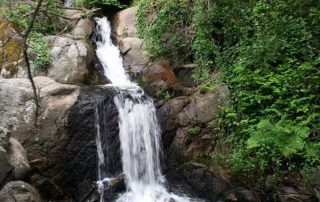 centro_de_interpretacion_la_molineria_2