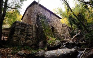 centro_de_interpretacion_la_molineria_3