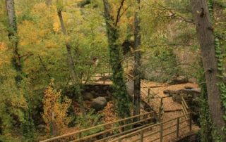 centro_de_interpretacion_la_molineria_4