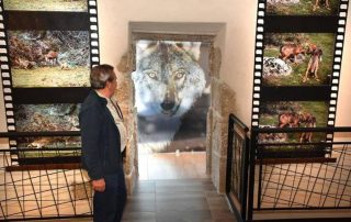 centro_de_visitantes_del_lobo_4