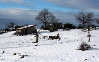 corral_de_los_lobos_1-1