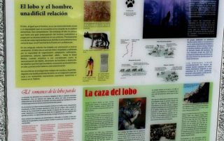 corral_de_los_lobos_2