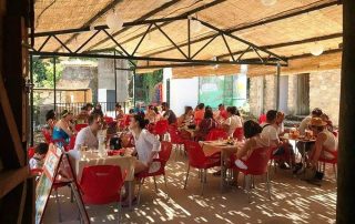 para_picar_el_ponton_1-1