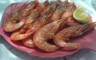 para_picar_hogar_de_pensionistas_san_blas_3