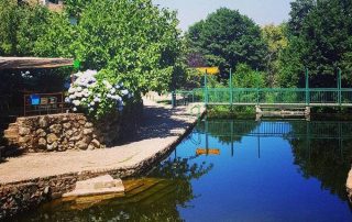 piscina_natural_segura_de_toro_2