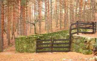 pozo_de_las_nieves_1-1