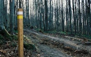 senderismo_bosques_del_ambroz_2