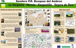senderismo_bosques_del_ambroz_3