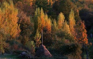 senderismo_camino_arrieros_1-1