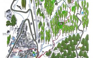 senderismo_camino_arrieros_3