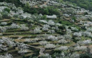 senderismo_collao_de_en_medio_1-1