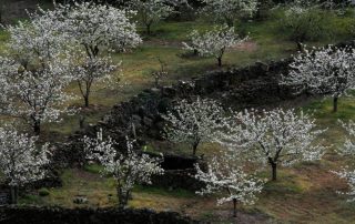 senderismo_collao_de_en_medio_2