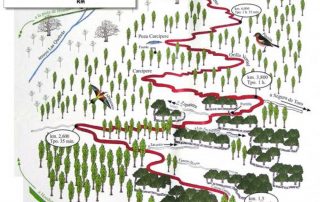 senderismo_collao_de_en_medio_4