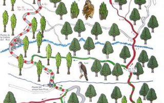 senderismo_el_castanar_2