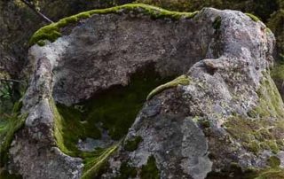 senderismo_ruta_celta_1-1