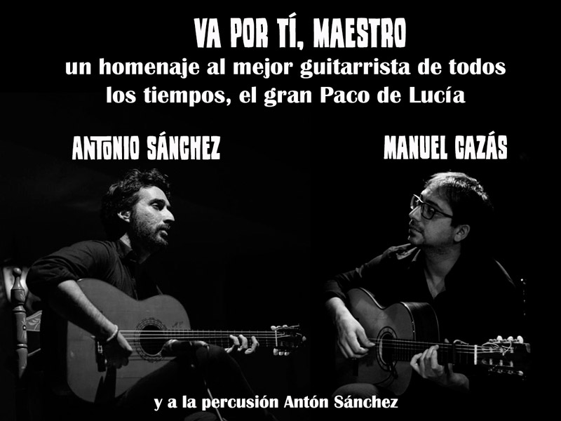 Flamenco: 