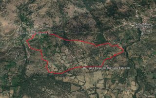 imagen track lagares segura