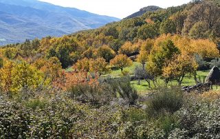 vistas subida a La Garganta1