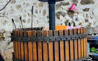 20240307_185521-EDIT