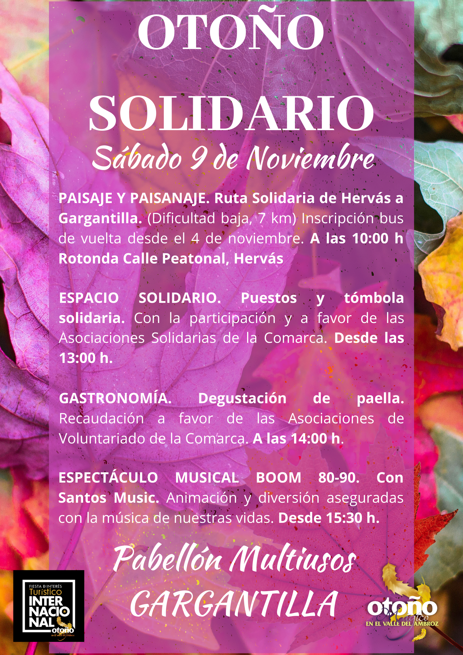 OTOÑO SOLIDARIO: Degustación y Cocina en Vivo de PLATO SOLIDARIO y más