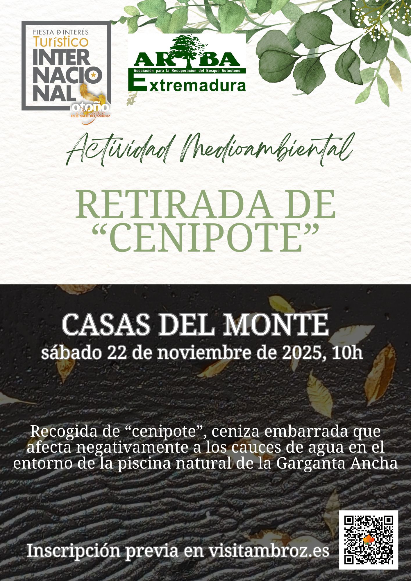 ACTIVIDAD MEDIOAMBIENTAL. Recogida de 