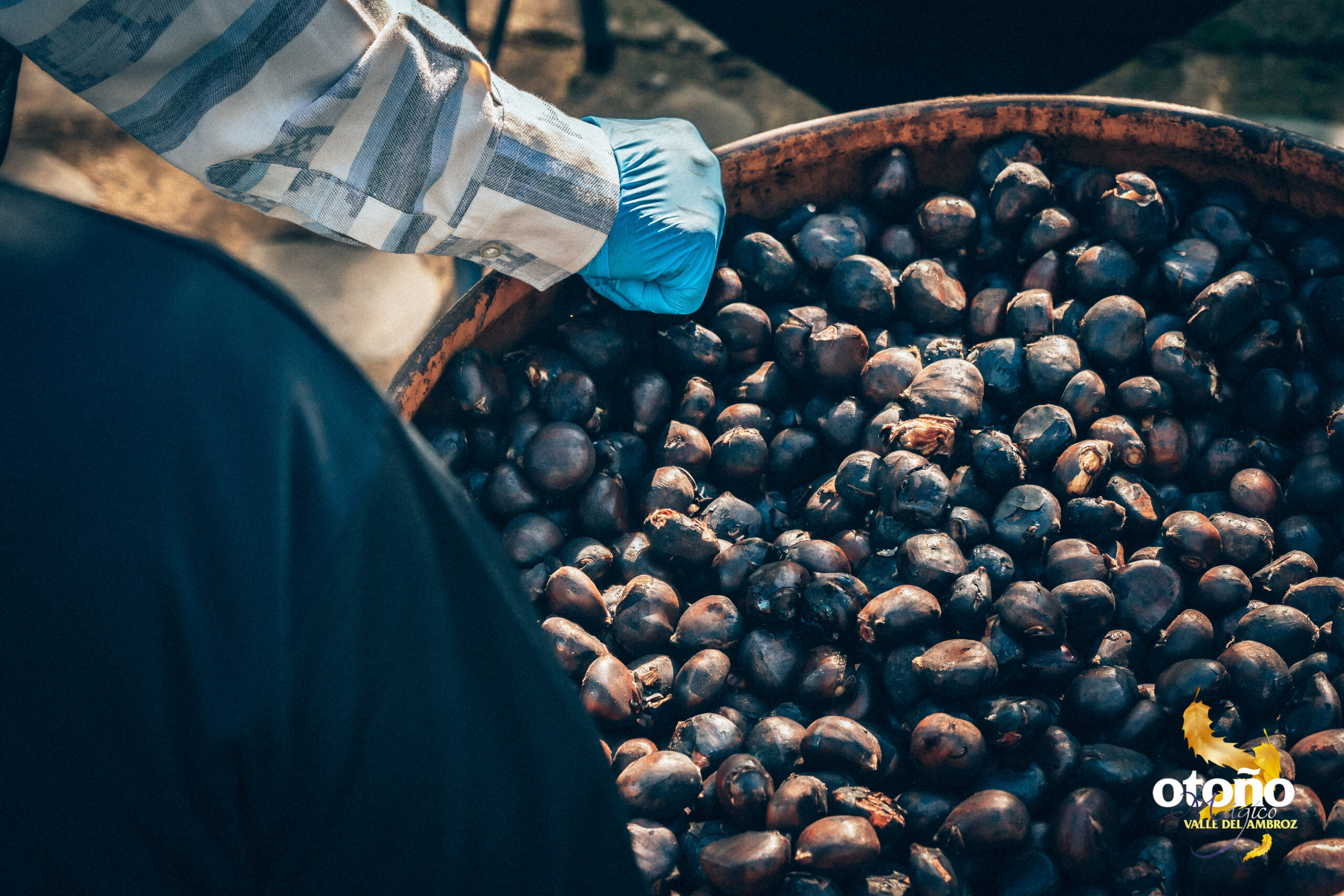 DÍA DE “LA GRAN CALBOTÁ”. Castañas asadas y más.