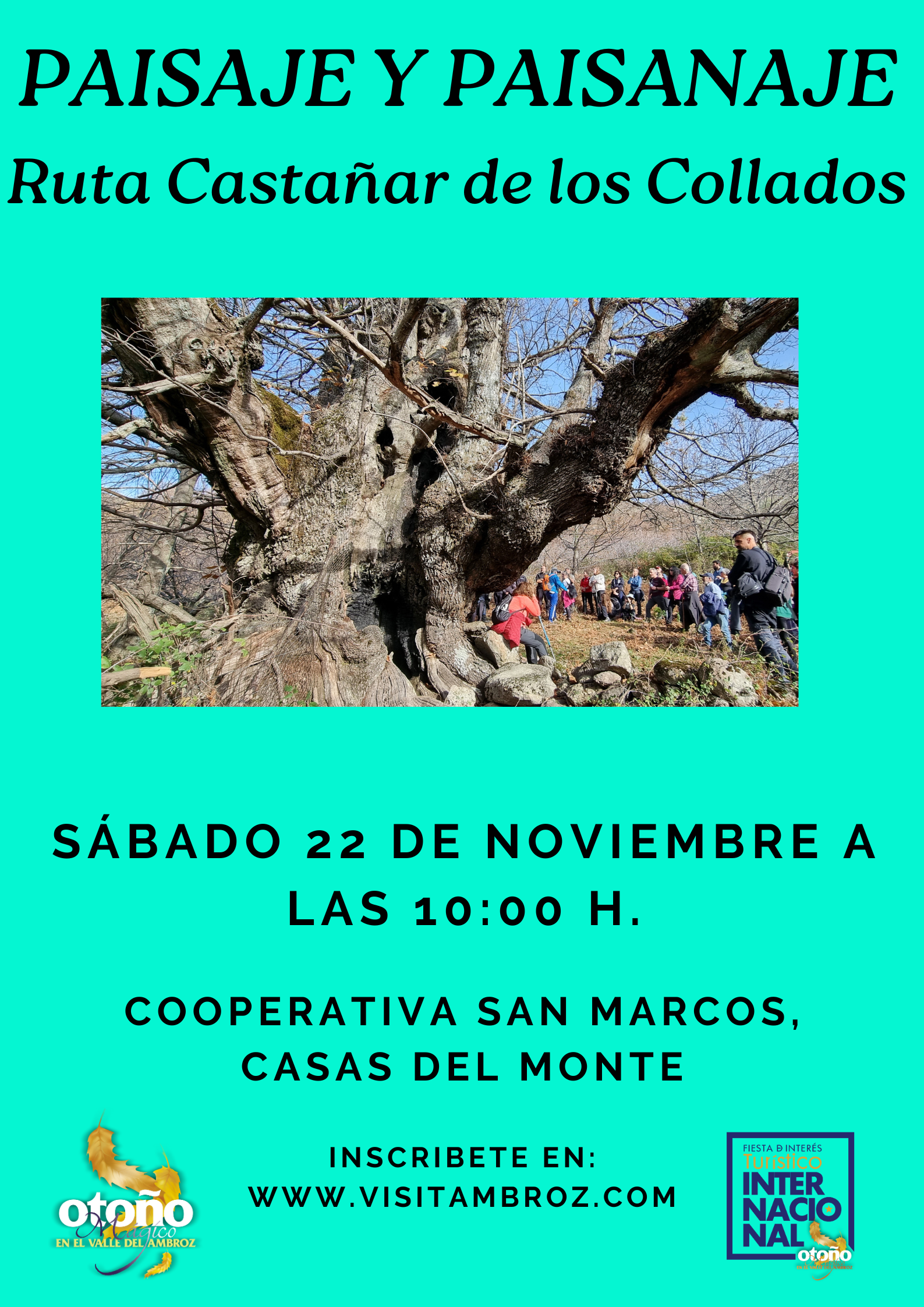 PAISAJE Y PAISANAJE: Ruta Castañar de los Collados en Casas del Monte