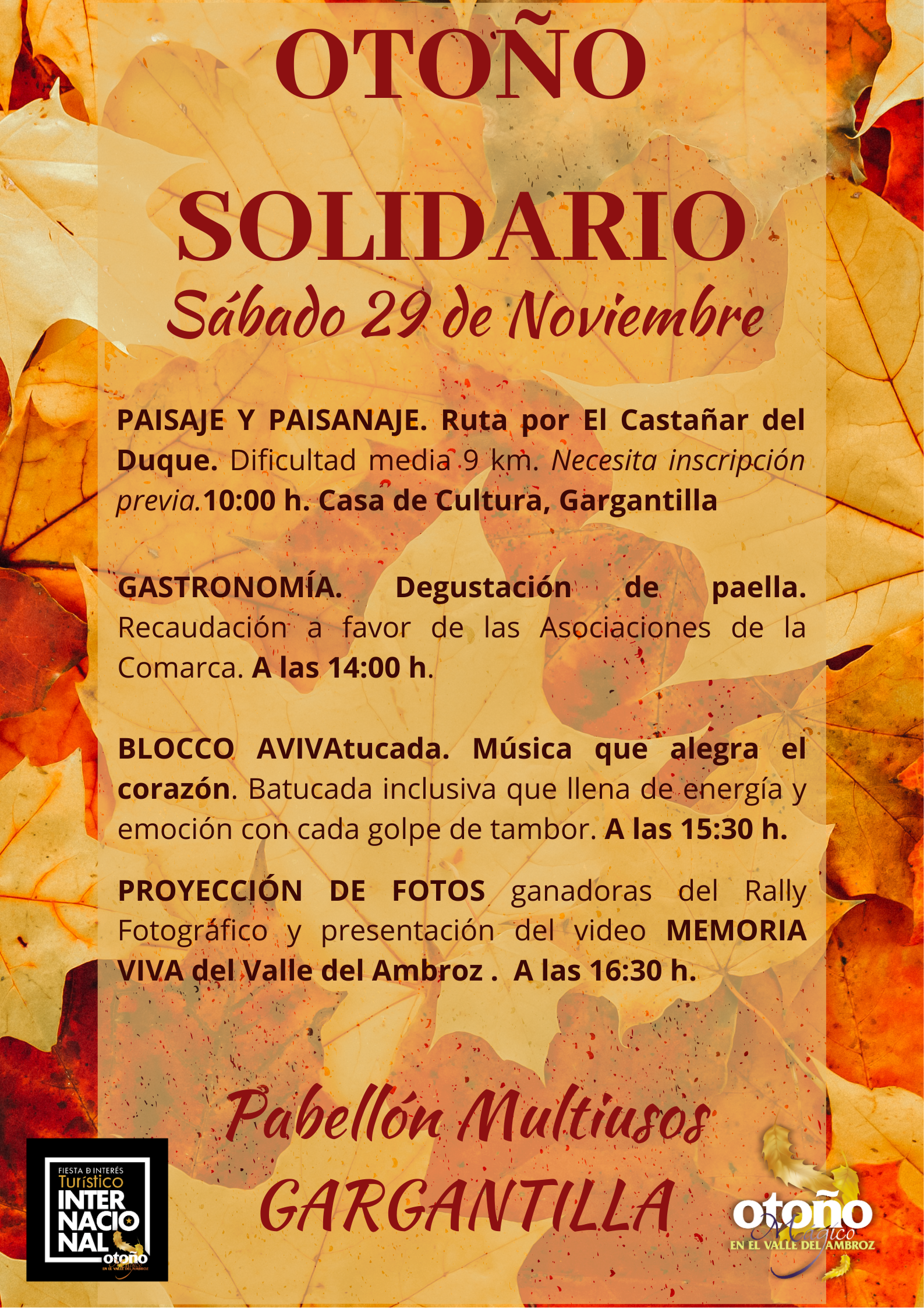 OTOÑO SOLIDARIO: Degustación y Cocina en Vivo de PLATO SOLIDARIO y más