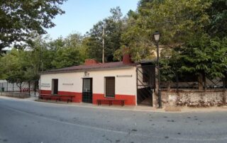 104_518876952-768×576