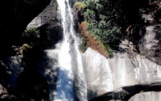 304955340_408834688027188_1403772350561879933_n