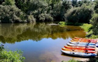 473441444_925707626339889_5678778198283275992_n